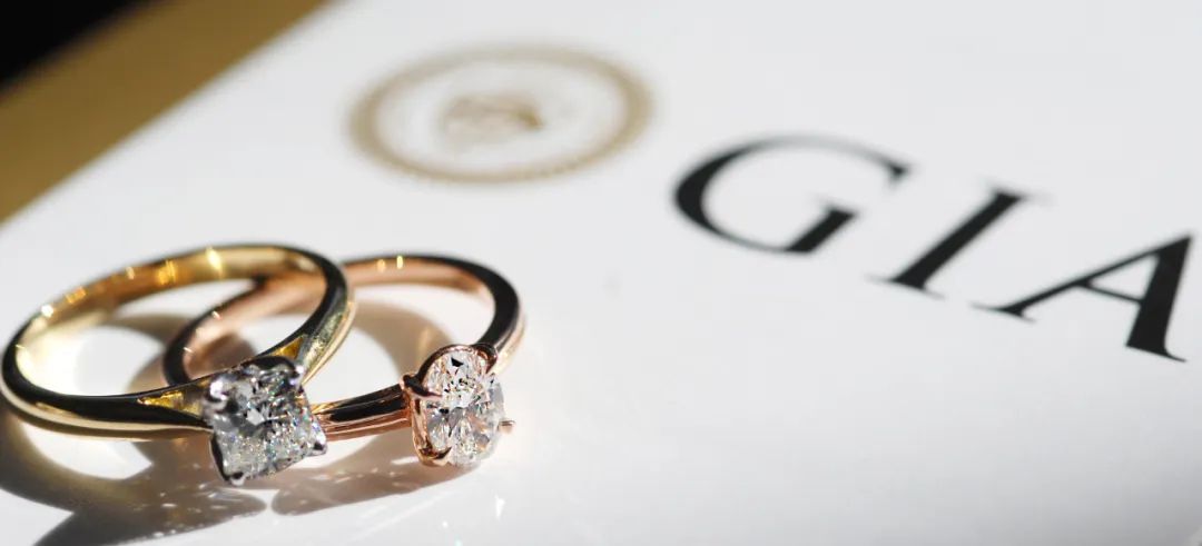 1776089786356093.jpg 1776089786356093.jpg