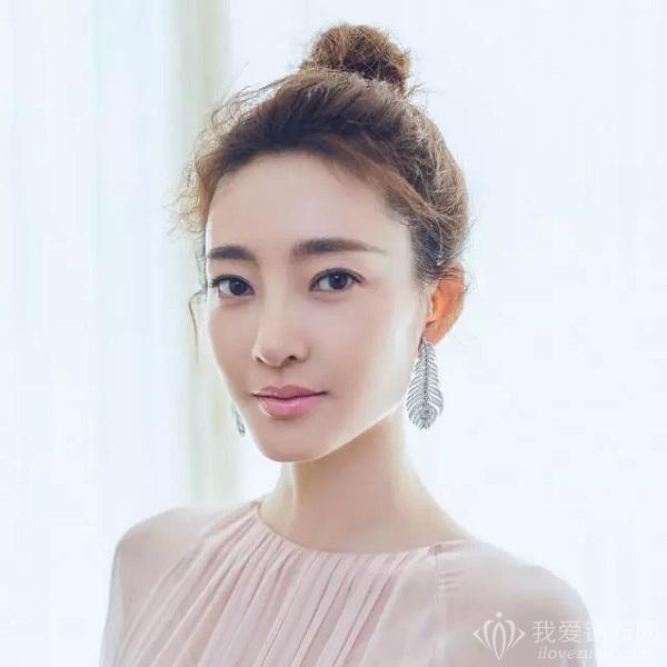 宝诗龙