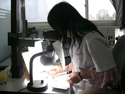 拍照