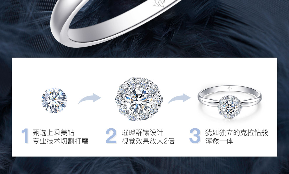 倾心/18K白金钻戒 1克拉/F-G色/SI净度 国检
