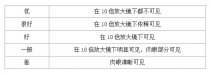 钻石抛光指的是什么 钻石抛光等级划分